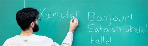 World Language System 的图像结果