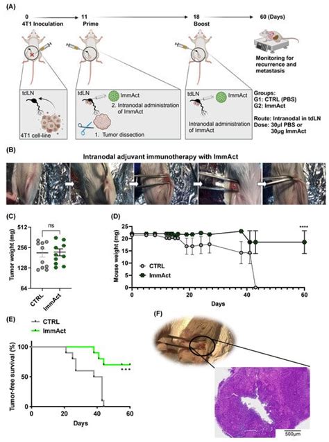 Intranodal Injection of Immune Activator Demonstrates Antitumor ...