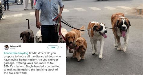 Bengaluru Residents Can Keep Only One Dog Per Flat And People Are Livid ...