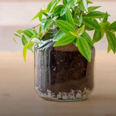 Recycling the Nutella® jar | Nutella®