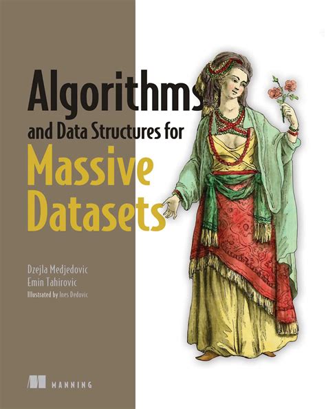 Algorithms and Data Structures for Massive Datasets eBook by Dzejla ...