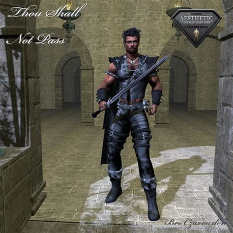 Image result for Thou Shall Not Pass Python