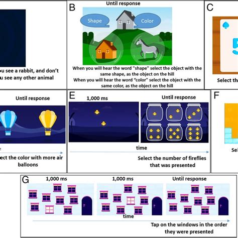 Continuous Performance Task 的图像结果