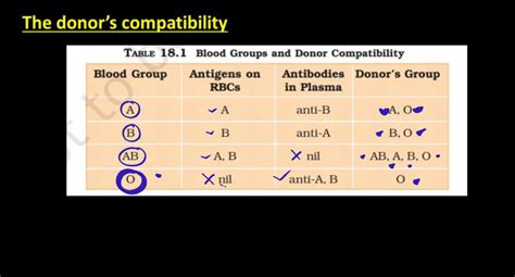 Blood Group - ABO Grouping and Rh Grouping