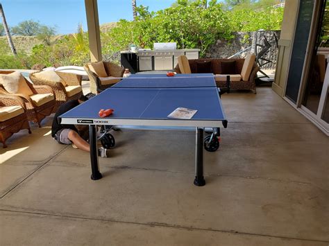 Best Plywood For Ping Pong Table at Christy Cantu blog