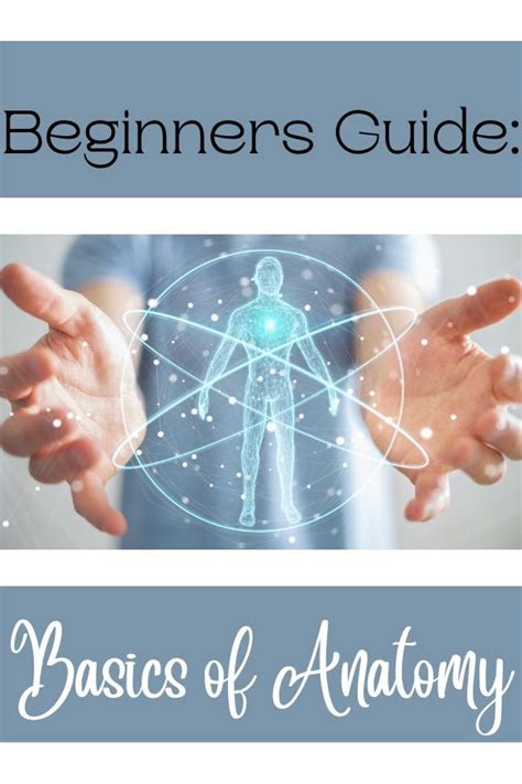 Medical Coding Anatomy Interview Questions 的图像结果