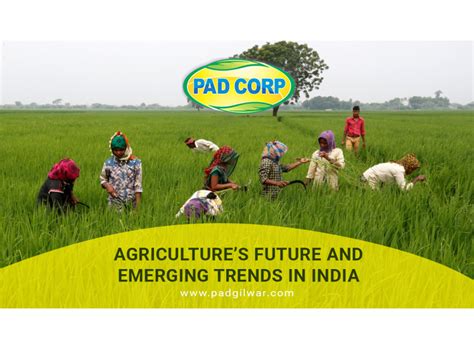Agriculture’s Future and Emerging Trends in India