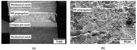 Hydrogen Embrittlement Evaluation of Micro Alloyed Steels by Means of J ...