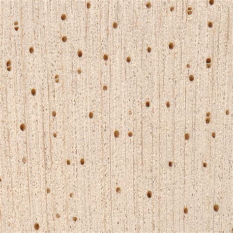 balsa 的图像结果