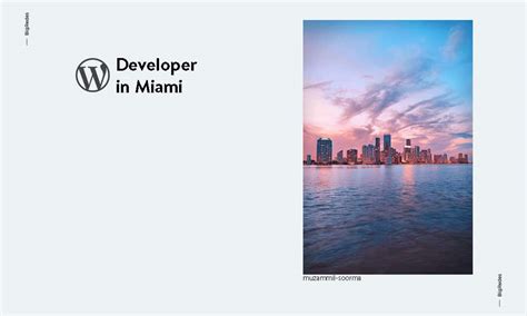 Image result for Miami WordPress Developer
