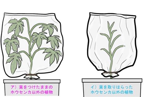 Image result for Base Recursion
