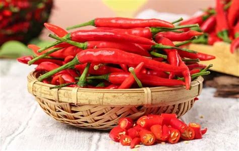 干红辣椒收购价高达50元/斤，有三个主要用途，种植经济效益高_食品_人们_物质