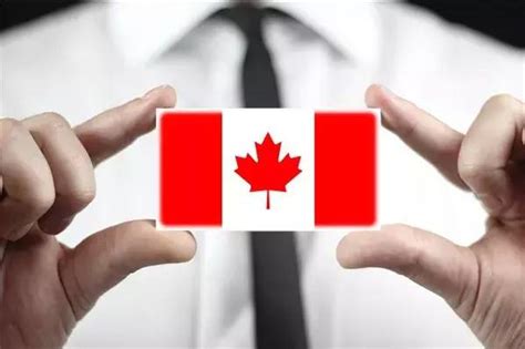 去加拿大移民，你能享受到更完善、更优质的社会福利-梧桐海外