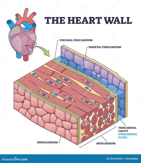 Heart Of The Cell