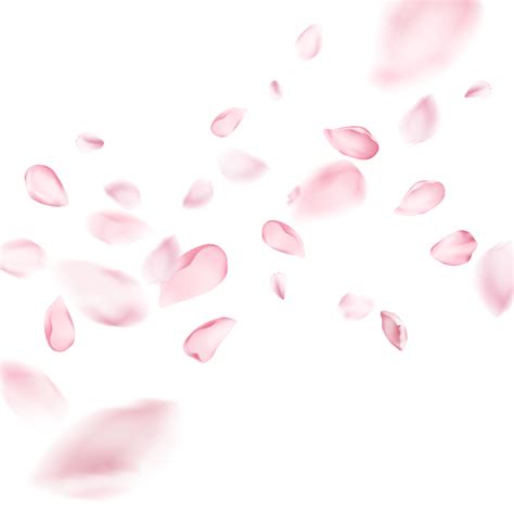 Floating petals png transparent floating petals cherry blossom clipart ...