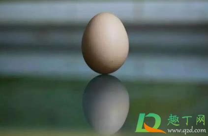 2021年春分竖蛋用的是生鸡蛋还是熟鸡蛋-春分竖蛋用的鸡蛋怎么选择-趣丁网