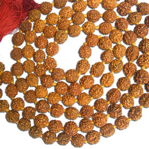 Rudraksha/Rudraksha Mala/Panchmukhi Mala – Rudraksham
