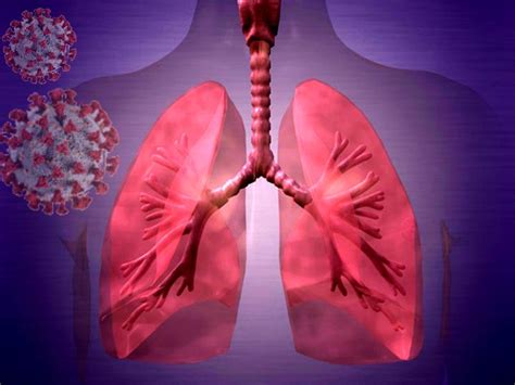 Live Coronavirus Found In Covid Patient Body Even After Death