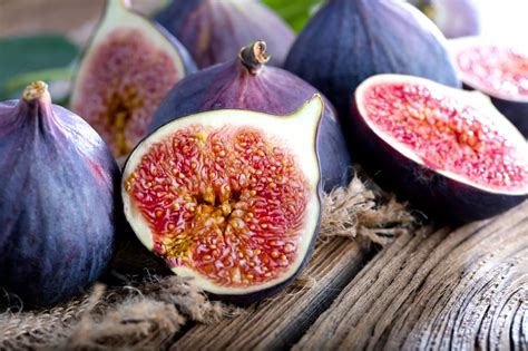 Fig tree in the bible - symbolism, meaning and prophecy