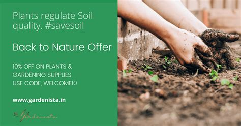 Gardenista- Back To Nature Offer