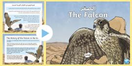 Animals in the UAE PowerPoint - Arabic/English - Twinkl