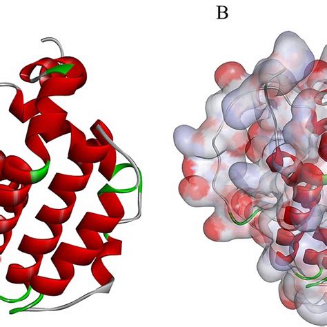 Bcf2 Structure 的图像结果