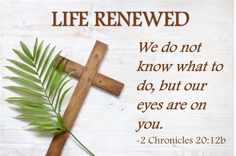 Life Renewed – MindyFerguson.net