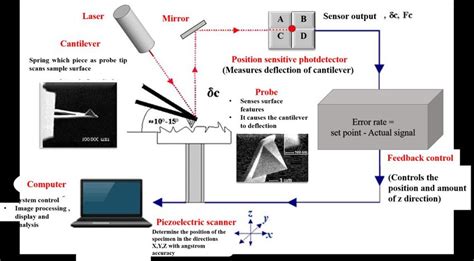 Image result for AFM Lab