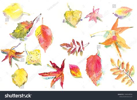 Fall Leaves Watercolor