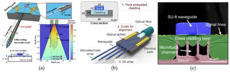 Technological Challenges in the Development of Optogenetic Closed-Loop ...