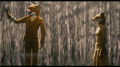 Fantastic Mr Fox Ash Quotes. QuotesGram