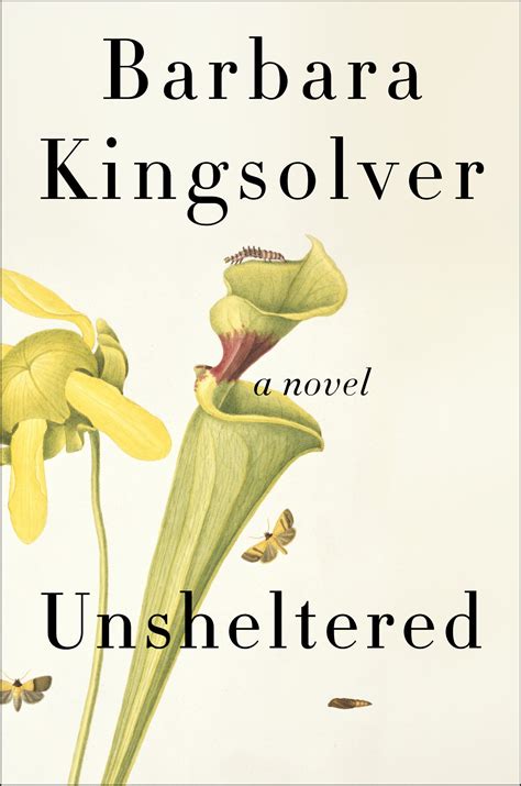 New novel from Barbara Kingsolver | The Book Den