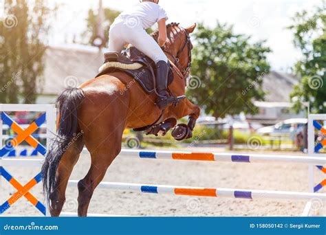 Young Male Horse Rider on Show Jumping Competition Stock Photo - Image ...