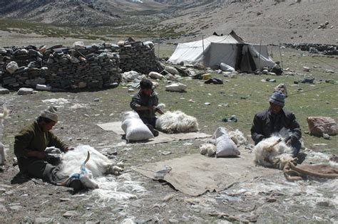 The Journey of Cashmere | Kashmir Loom