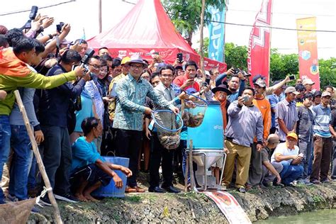 Telkomsel IoT Gandeng eFishery Dan Japfa Hadirkan Perikanan Digital