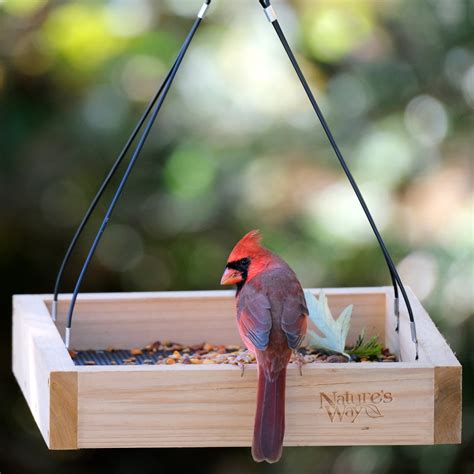 Simple Bird Feeder Ideas Easy And Eco Friendly Bird Feeders To Make