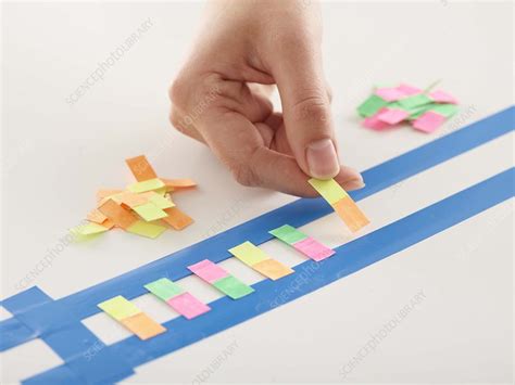 Making DNA Models 的图像结果