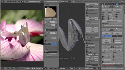 Image result for Mantisx Tutorial Blender