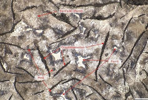 Image result for Engineering Science Microstructure of Metals