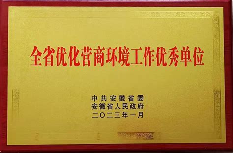 市数据资源管理局喜获“全省优化营商环境工作优秀单位”_滁州市数据资源管理局（市政务服务管理局）