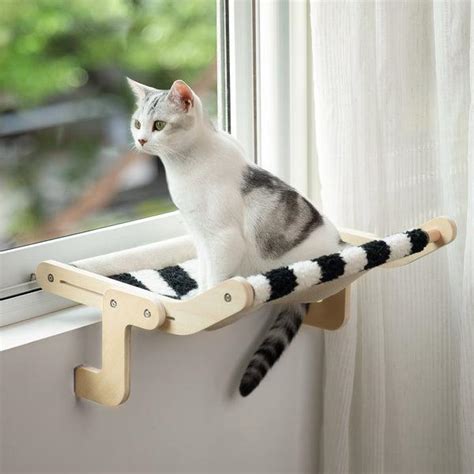 Window Cat Beds: Pros, Cons & Safety Guide (Are They Worth It?) – House ...