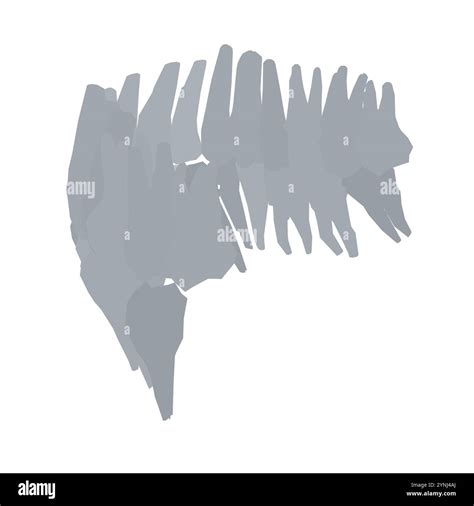 Dental silhouette set Black and White Stock Photos & Images - Alamy