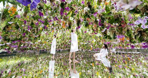 teamLab gestaltet zwei neue Installationen im Museum Planets Tokyo