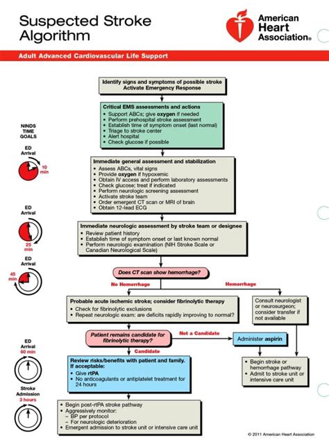 Image result for Suspected Stroke Algorithm ACLS