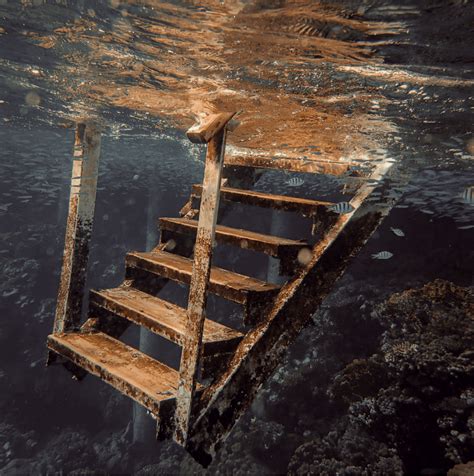 How Effective Is Paxil for Premature Ejaculation? A Comprehensive Review – The Coach: Men's ...