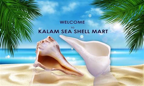 KALAM SEA SHELL MART