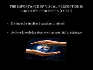 Image result for Visual Ambiguity Examples