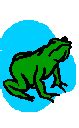 Image result for Frog Math