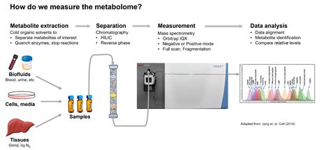 Image result for Metabolomics Tutorial