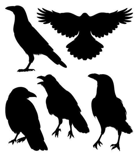 Crow svg Images - Free Download on Freepik